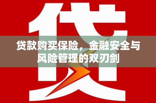 沈北新区贷款购买保险，金融安全与风险管理的双刃剑