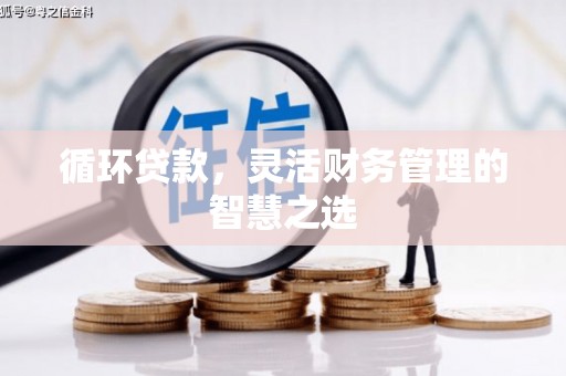 濮阳循环贷款，灵活财务管理的智慧之选