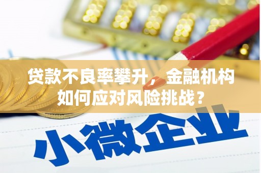 陆川贷款不良率攀升，金融机构如何应对风险挑战？