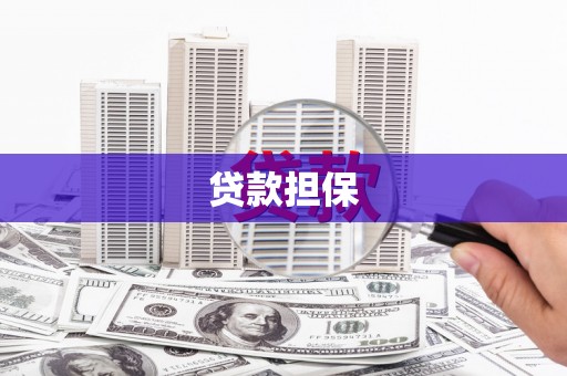 碌曲贷款担保