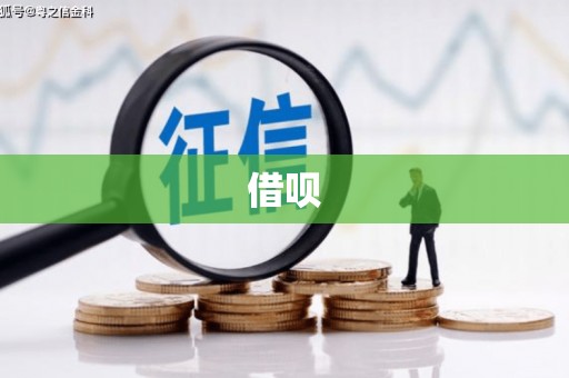 施甸借呗