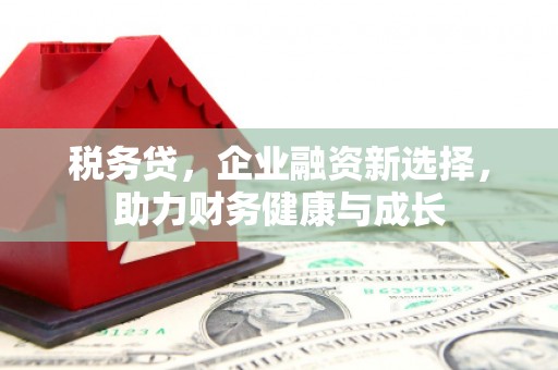 岱山税务贷，企业融资新选择，助力财务健康与成长